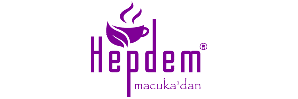 Hepdem Logo 2