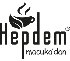 Hepdem Logo